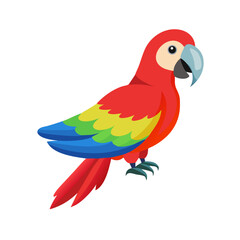 Parrot: The Colorful Birds of the Tropics