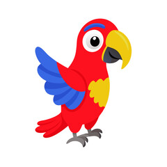 Parrot: The Colorful Birds of the Tropics