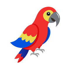 Parrot: The Colorful Birds of the Tropics