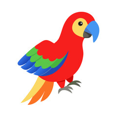Parrot: The Colorful Birds of the Tropics