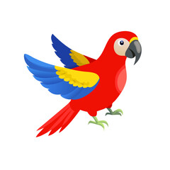 Parrot: The Colorful Birds of the Tropics