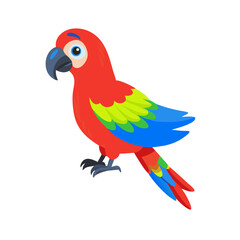 Parrot: The Colorful Birds of the Tropics