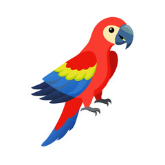 Parrot: The Colorful Birds of the Tropics