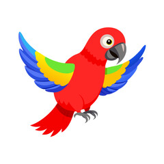 Parrot: The Colorful Birds of the Tropics