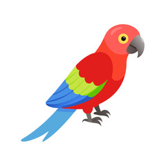 Parrot: The Colorful Birds of the Tropics