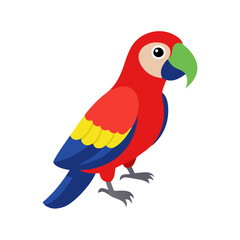 Parrot: The Colorful Birds of the Tropics