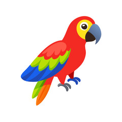 Parrot: The Colorful Birds of the Tropics