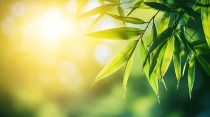Green bamboo leaves shimmer in sunlight, creating a peaceful atmosphere.