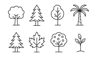 Line vector icons of tree species: oak, pine, birch, palm, cedar, maple, fruit tree, young sapling.