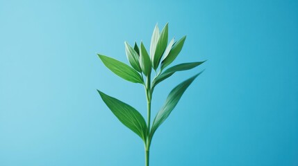 Fototapeta premium A vibrant green plant with long leaves against a serene blue background.