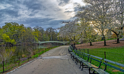 Bow bridge, spring in early morning