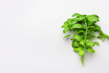 Fresh basil on grey background