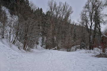 Tibble Fork Loop hiking winter storm snow views of trail Lone Peak Wilderness Uinta Wasatch Cache National Forest, Rocky Mountains, Utah. United States.