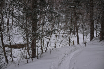 Tibble Fork Loop hiking winter storm snow views of trail Lone Peak Wilderness Uinta Wasatch Cache National Forest, Rocky Mountains, Utah. United States.