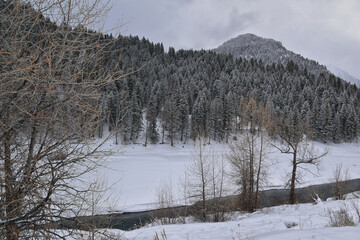 Tibble Fork Loop winter storm snow views from hiking trail Lone Peak Wilderness Uinta Wasatch Cache National Forest, Rocky Mountains, Utah. United States.