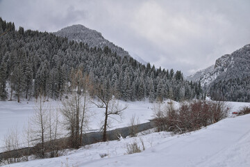 Tibble Fork Loop winter storm snow views from hiking trail Lone Peak Wilderness Uinta Wasatch Cache National Forest, Rocky Mountains, Utah. United States.