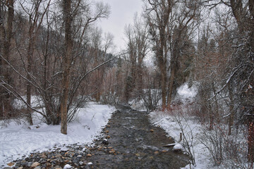 Tibble Fork Loop winter storm snow views from hiking trail Lone Peak Wilderness Uinta Wasatch Cache National Forest, Rocky Mountains, Utah. United States.