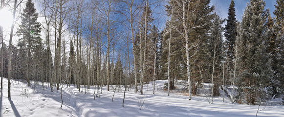 Tibble Fork Loop winter storm snow views from hiking trail Lone Peak Wilderness Uinta Wasatch Cache National Forest, Rocky Mountains, Utah. United States.