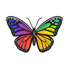 Bright and vibrant rainbow butterfly sticker, perfect for adding a splash of color to your crafts or personal items.