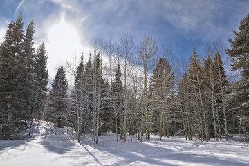 Tibble Fork Loop winter storm snow views from hiking trail Lone Peak Wilderness Uinta Wasatch Cache National Forest, Rocky Mountains, Utah. United States.