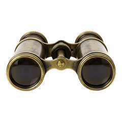 Vintage brass and black binoculars