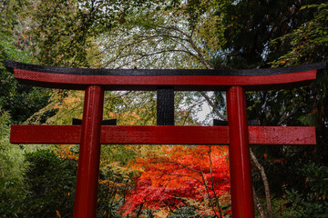 Gate at Japanese Garden at The Butchart Gardens on Vancouver Island in British Columbia Canada in Fall