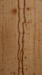 Natural SPRUCE wood texture with visible cracks and patterns, longitudinal cut