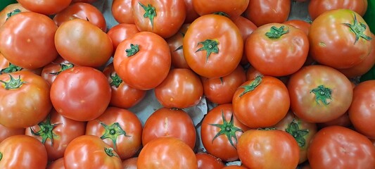 Fresh Red Tomatoes Abundant Harvest Ripe Vegetables Organic Produce