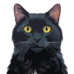 head of a black cat illustration