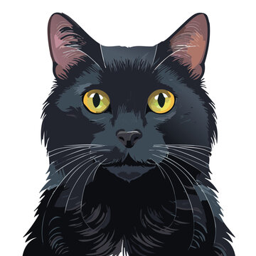 head of a black cat illustration