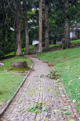 footpath around the botanical garden forest