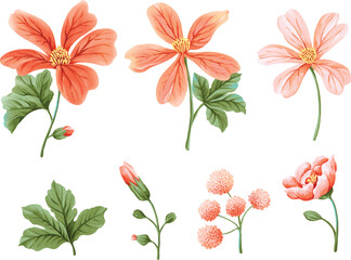 Watercolor set of tropical pink and coral flowers with tropical leaves. Includes large blossoms, buds, and pompom flowers. Great for tropical-themed, bohemian, and nature-inspired designs.
