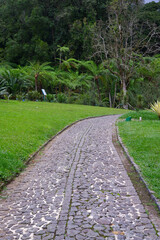 path around the forest