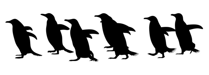 Silhouette of a flock of penguins walking in a row one after another. Migration of penguins living in a flock. Antarctic birds that do not fly. A family of penguins going somewhere.