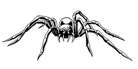 Drawn large tarantula genus from the wolf spider family. Black and white illustration of a scary poisonous spider with big fangs on transparent PNG background. 