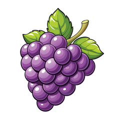 Purple Grapes with Leaves