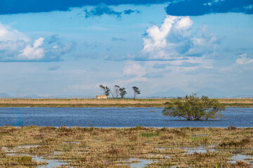 Abandoned farmhouse stands isolated in Doñana wetlands of Spain