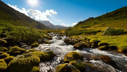 Obraz premium clear mountain stream flowing through mossy rocks under soft morning light- 