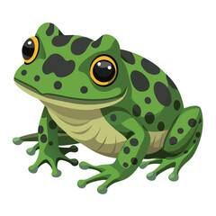 A textured, moss-like frog with dark blotches and suction-cup toes is isolated against a stark white background.