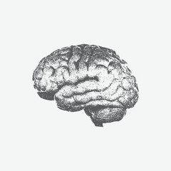 Halftone stipple effect on the brain for grunge punk Y2K collage design. human brain halftone retro grunge grain effect and stippling vector dots textured