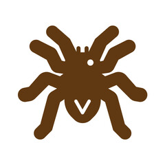 Obraz premium brown spider icon vector
