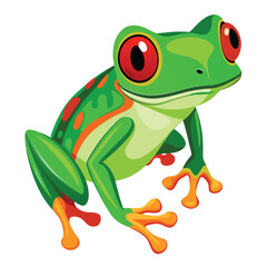 A vibrant green tree frog with striking red eyes and bright orange feet clings to an unseen surface  white background.