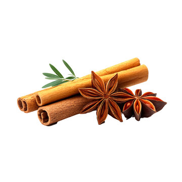 recommend clip art: Winter spices like cinnamon and star anise