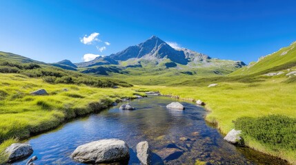 Mountain stream valley, sunny day