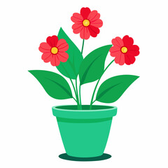 flower in a pot