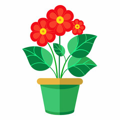 flower in a pot