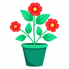 flower in pot
