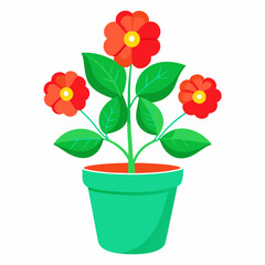 flower in a pot