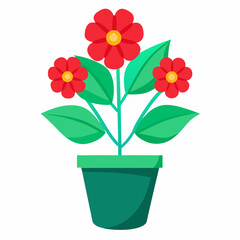 flower in pot
