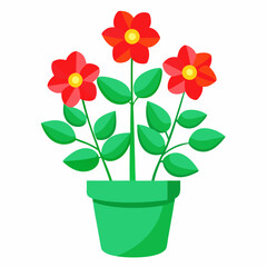 flower in a pot
